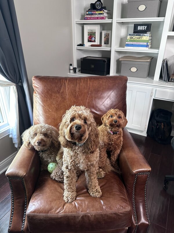 Duncan and Donuts with a boarding buddy